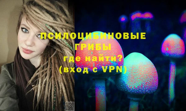 apvp Покровск